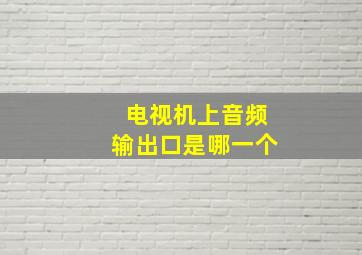 电视机上音频输出口是哪一个