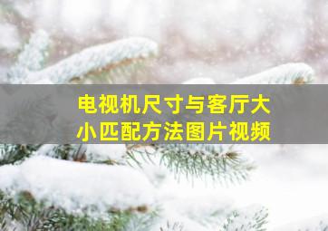 电视机尺寸与客厅大小匹配方法图片视频