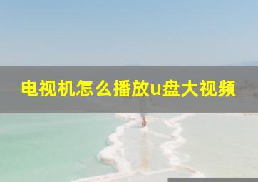 电视机怎么播放u盘大视频