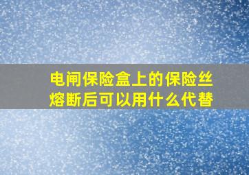 电闸保险盒上的保险丝熔断后可以用什么代替