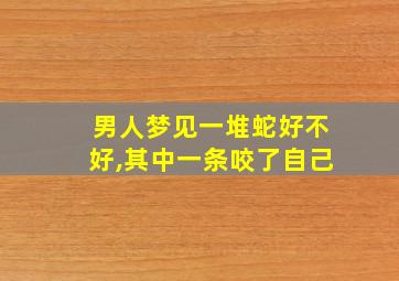 男人梦见一堆蛇好不好,其中一条咬了自己