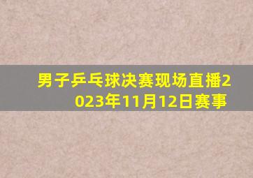 男子乒乓球决赛现场直播2023年11月12日赛事