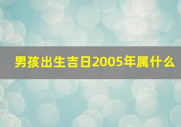 男孩出生吉日2005年属什么