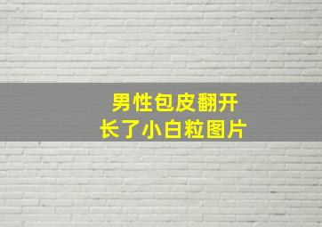 男性包皮翻开长了小白粒图片