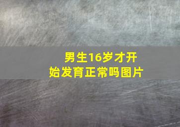 男生16岁才开始发育正常吗图片