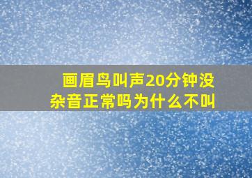 画眉鸟叫声20分钟没杂音正常吗为什么不叫