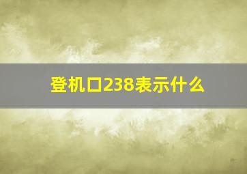 登机口238表示什么