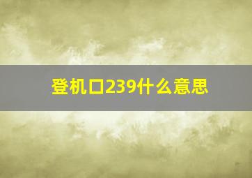 登机口239什么意思