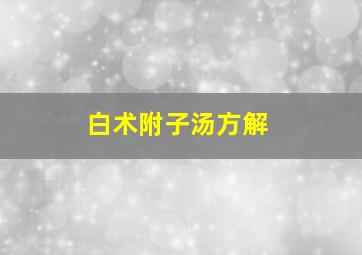 白术附子汤方解