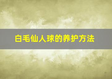 白毛仙人球的养护方法