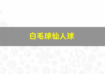 白毛球仙人球