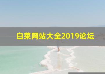 白菜网站大全2019论坛