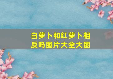 白萝卜和红萝卜相反吗图片大全大图