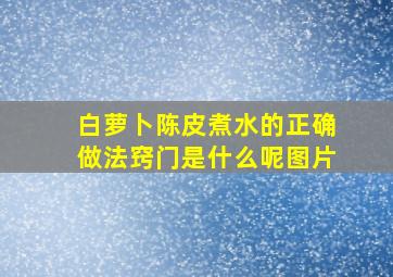 白萝卜陈皮煮水的正确做法窍门是什么呢图片