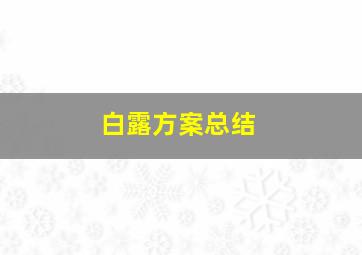 白露方案总结