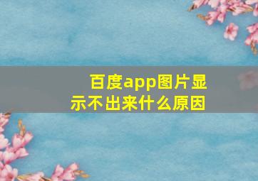 百度app图片显示不出来什么原因