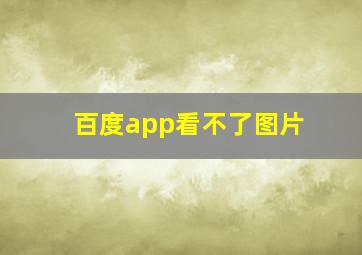 百度app看不了图片