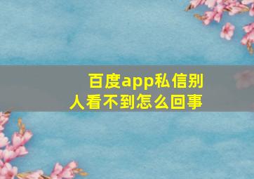 百度app私信别人看不到怎么回事