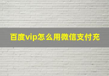 百度vip怎么用微信支付充