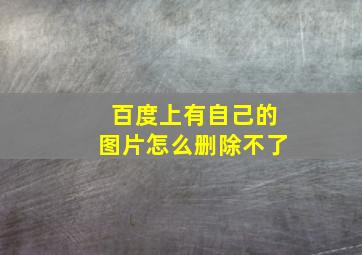 百度上有自己的图片怎么删除不了