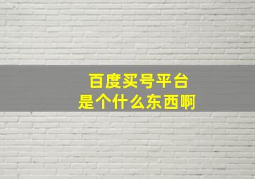 百度买号平台是个什么东西啊