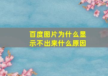 百度图片为什么显示不出来什么原因