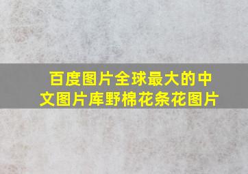 百度图片全球最大的中文图片库野棉花条花图片