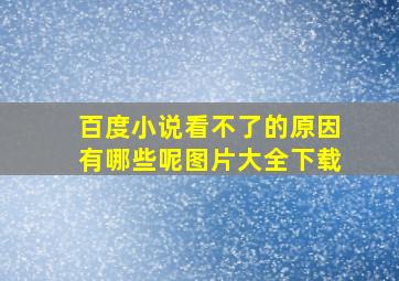 百度小说看不了的原因有哪些呢图片大全下载