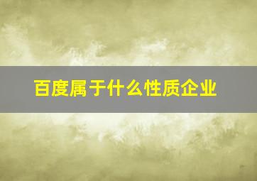 百度属于什么性质企业