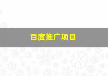 百度推广项目