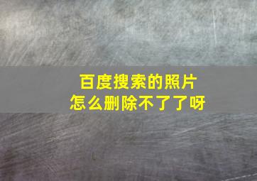 百度搜索的照片怎么删除不了了呀