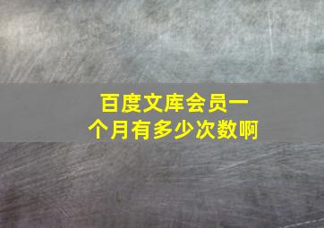 百度文库会员一个月有多少次数啊