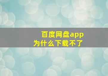 百度网盘app为什么下载不了