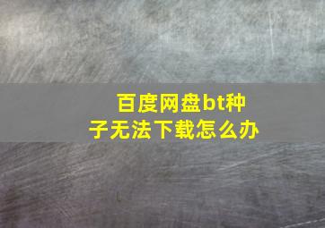 百度网盘bt种子无法下载怎么办