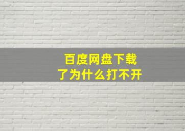 百度网盘下载了为什么打不开