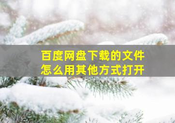 百度网盘下载的文件怎么用其他方式打开