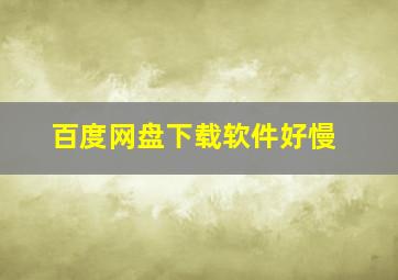 百度网盘下载软件好慢