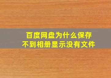 百度网盘为什么保存不到相册显示没有文件