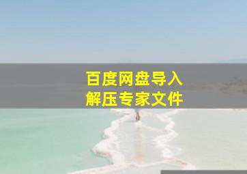 百度网盘导入解压专家文件