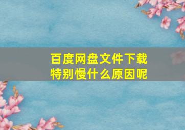 百度网盘文件下载特别慢什么原因呢