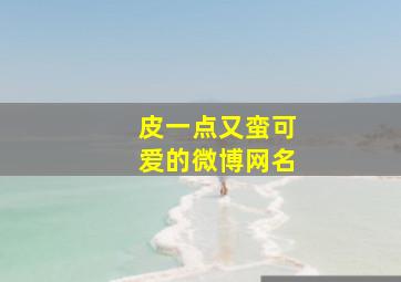 皮一点又蛮可爱的微博网名