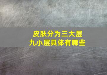 皮肤分为三大层九小层具体有哪些