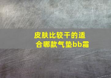 皮肤比较干的适合哪款气垫bb霜