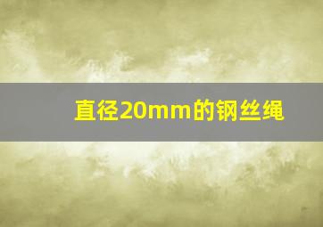 直径20mm的钢丝绳