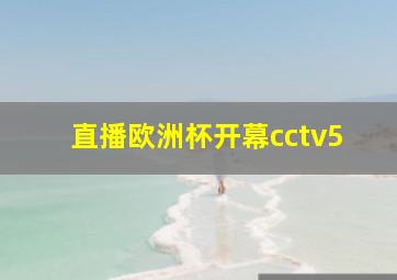 直播欧洲杯开幕cctv5