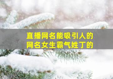 直播网名能吸引人的网名女生霸气姓丁的