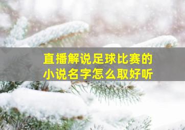 直播解说足球比赛的小说名字怎么取好听