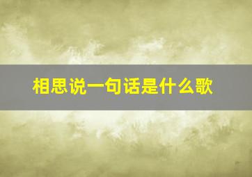 相思说一句话是什么歌