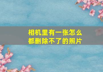 相机里有一张怎么都删除不了的照片