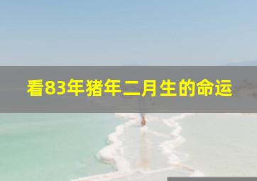 看83年猪年二月生的命运